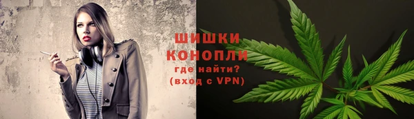 СК Богородск