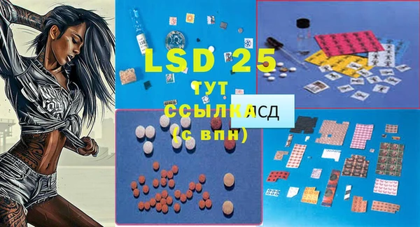 твердый Билибино