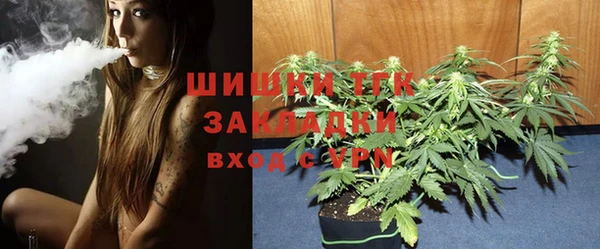 СК Богородск