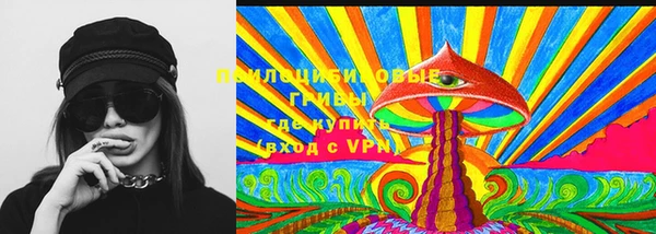 СК Богородск